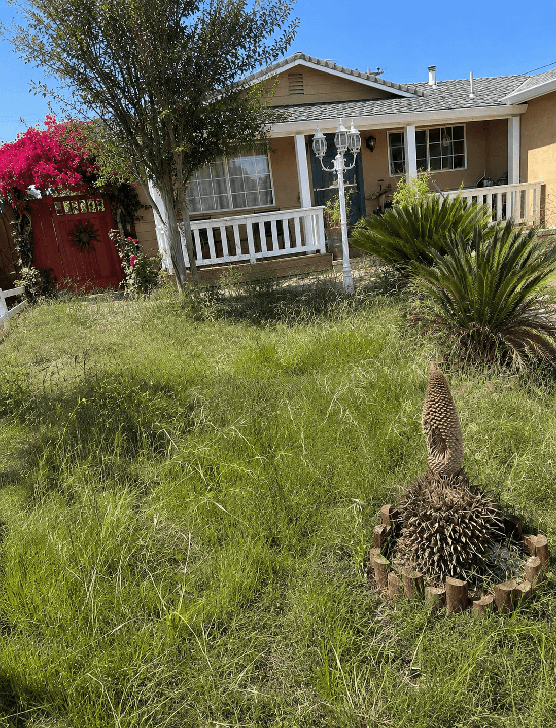Yard before landscaping improvements by Javier Construction