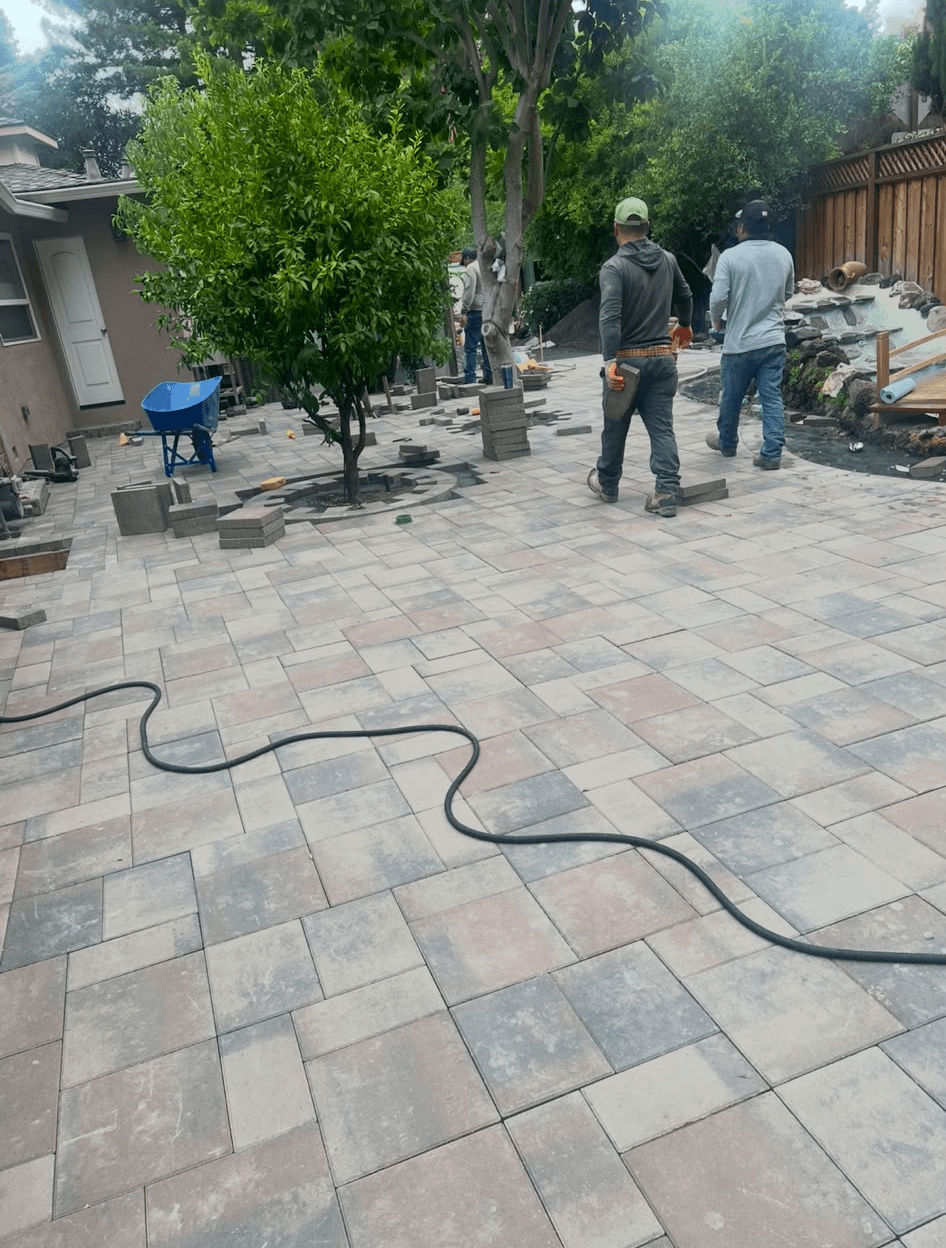 Javier Construction project 29